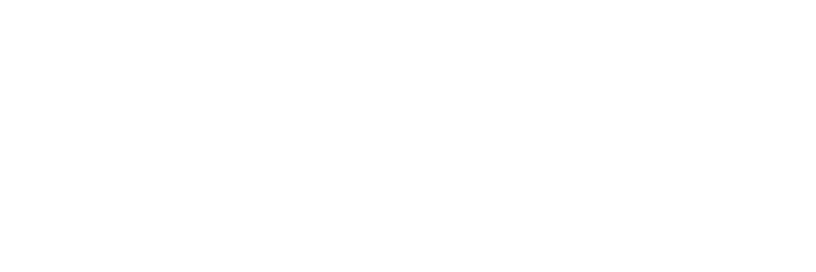 Virtus Logo