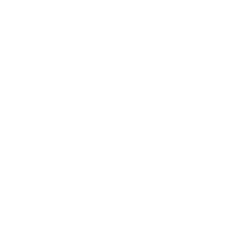 St Vincent de Paul Logo White